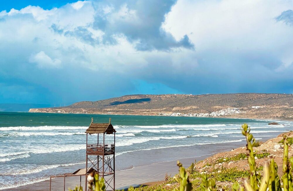 WhatsApp Image 2026-01-27 at 10.57.56 AM (40)